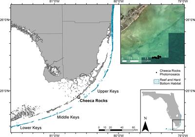 Impacts of Stony Coral Tissue Loss Disease (SCTLD) on Coral Community Structure at an Inshore Patch Reef of the Upper Florida Keys Using Photomosaics